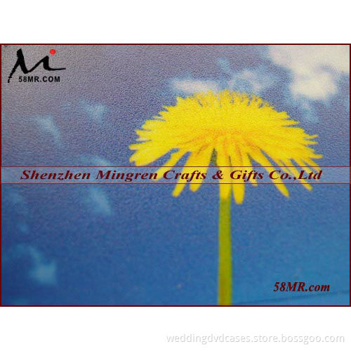 Cold Laminating Film Roll,Cross Cold Lamination Film Roll